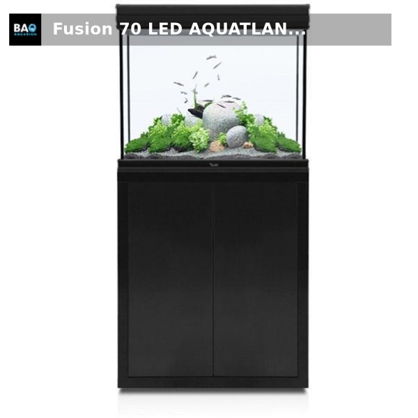 Bao Aquarium (@BaoAquarium) / Posts / X