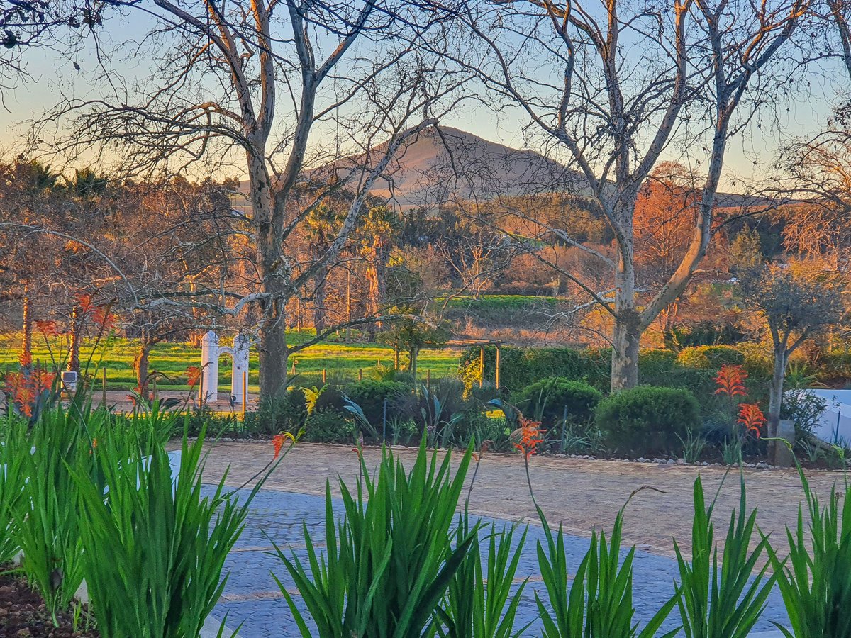A quick snapshot from our guesthouse parking lot really displays the vibrant colour contrast that sunsets can bathe the Cape in. 

#SlaleyStellenbosch #SlaleyCountryHouse