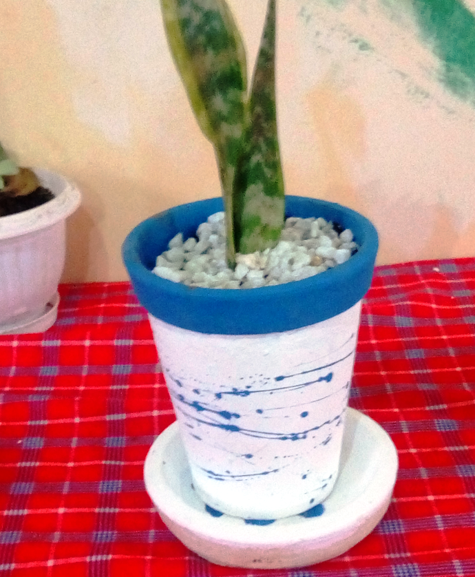 HouseOfNashKe's tweet photo. 6 and 7 Inch flower pot planters with single drainage hole. These are great for succulents and kitchen herbs.
Kshs.500-600/-
.
.
#tablepots #succulents #herbs #planters #gardening #IkoKazi #nakuru #landscapingkenya #diningdecor https://t.co/VIVzxZWlr0