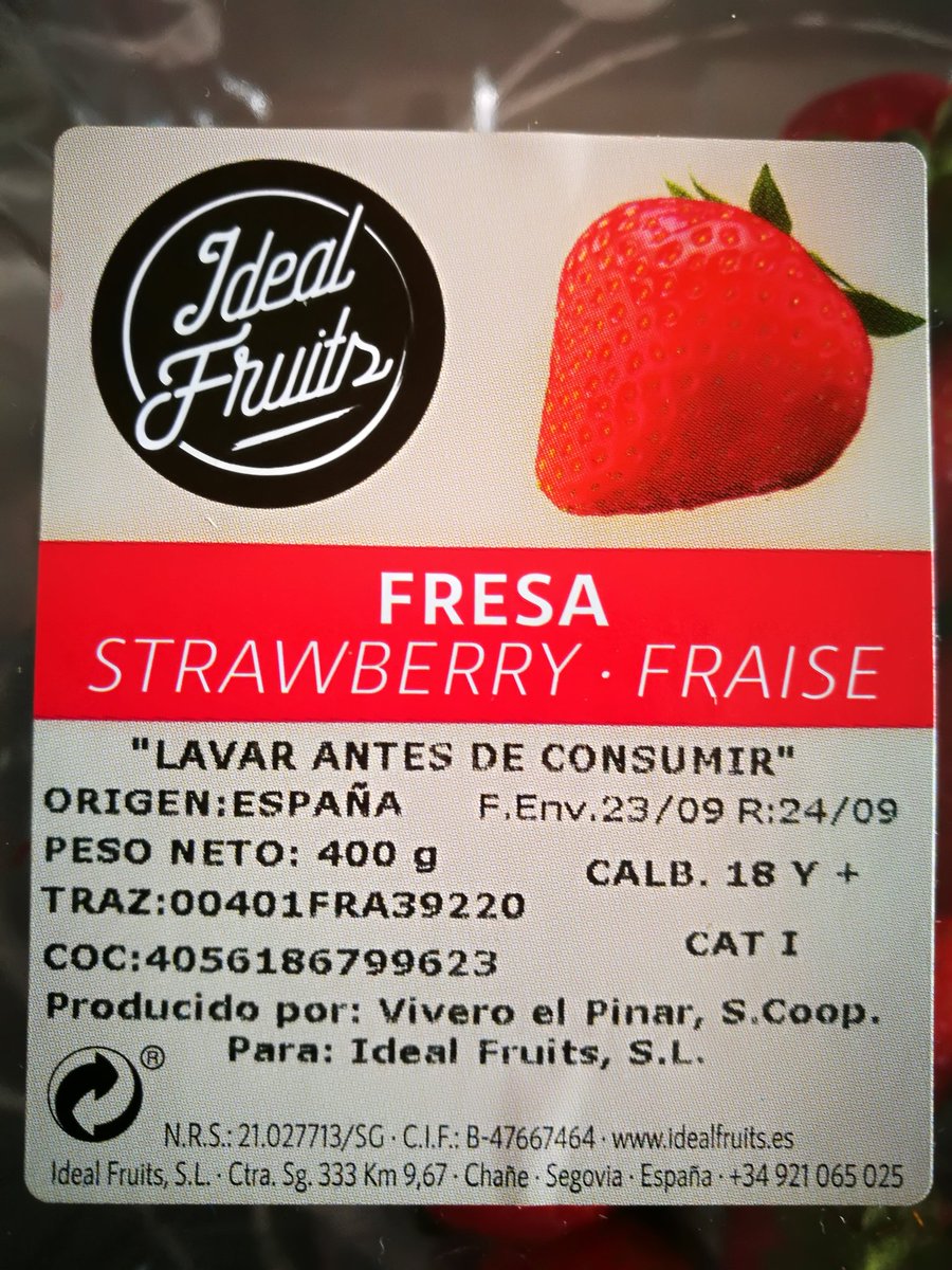 Hoy desayunando ricas fresas segovianas 🍓🍓
 idealfruits.es 
#Chañe #Segovia #strawberrylovers