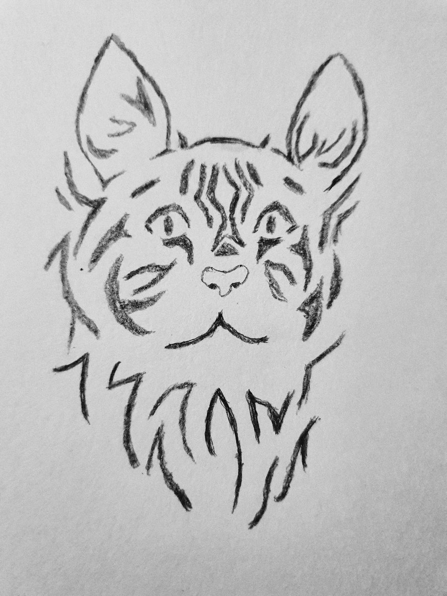 Kratzbaum68's tweet photo. @kunstklasse 
#KleineKunstklasse
#catember 
#catember20 https://t.co/0y05tYvE8z