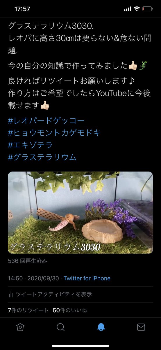 もぐ グラステラリウム3030 レオパに高さ30 は要らない 危ない問題 今の自分の知識で作ってみました 良ければリツイートお願いします 作り方はご希望でしたらyoutubeに今後載せます レオパードゲッコー ヒョウモントカゲモドキ エキゾテラ もぐ グラステラリウム3030 レオパに高さ30 は要らない 危ない問題 今の自分の知識で作ってみました 良ければリツイートお願いします 作り方はご希望でしたらyoutubeに今後載せます レオパードゲッコー ヒョウモントカゲモドキ エキゾテラ