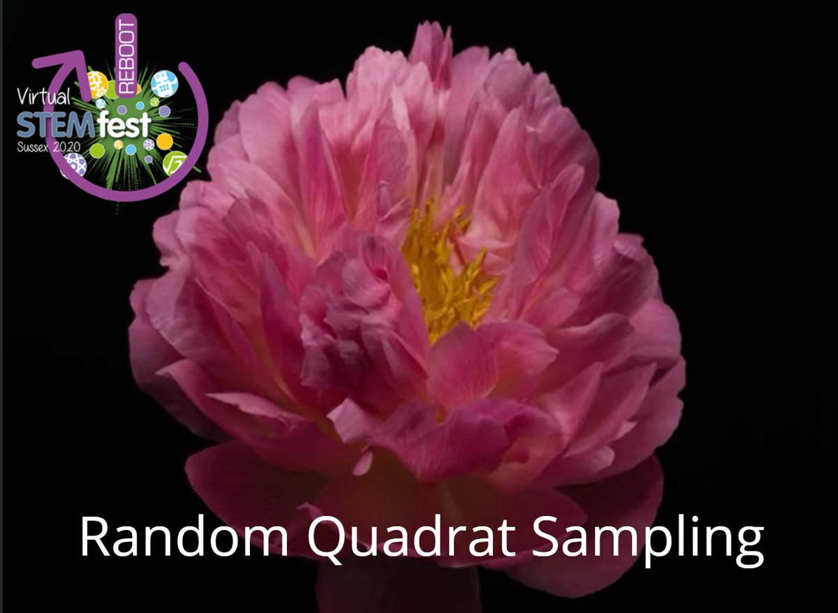 STEMHUB_SE's tweet photo. The #VirtualSTEMFest Workshops include: Random Quadrat Sampling by Christie from @stem4sussex Students can take part in this sampling activity, &amp; will be able to observe &amp; quantify plant &amp; insect populations in
their chosen environment. #WomenInSTEM  #Schools  #Homeschoolinguk https://t.co/QT9JlV5THM