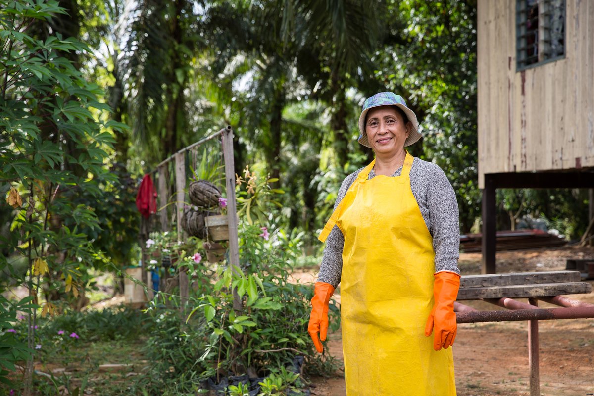 RSPOtweets's tweet photo. Thousands of #smallholder farmers around the globe are already cultivating oil palms in a sustainable way! 👏👏

If you are involved with smallholders on the ground and would like to learn more about RSPO certification, visit: https://t.co/V2YJn1KHnP https://t.co/KudRKJNcwX