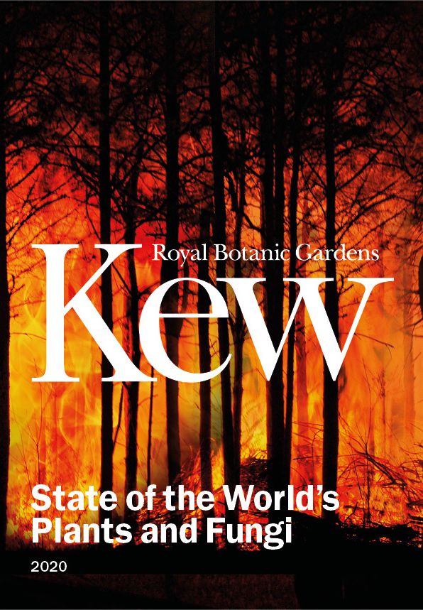CABI_News's tweet image. CABI shares expertise in Kew’s State of the World’s Plants and Fungi 2020 report  #SOTWPF @kewgardens @kewscience  cabi.news/36iiDJf