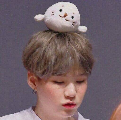 thinking about how he loves balncing plushies on his head