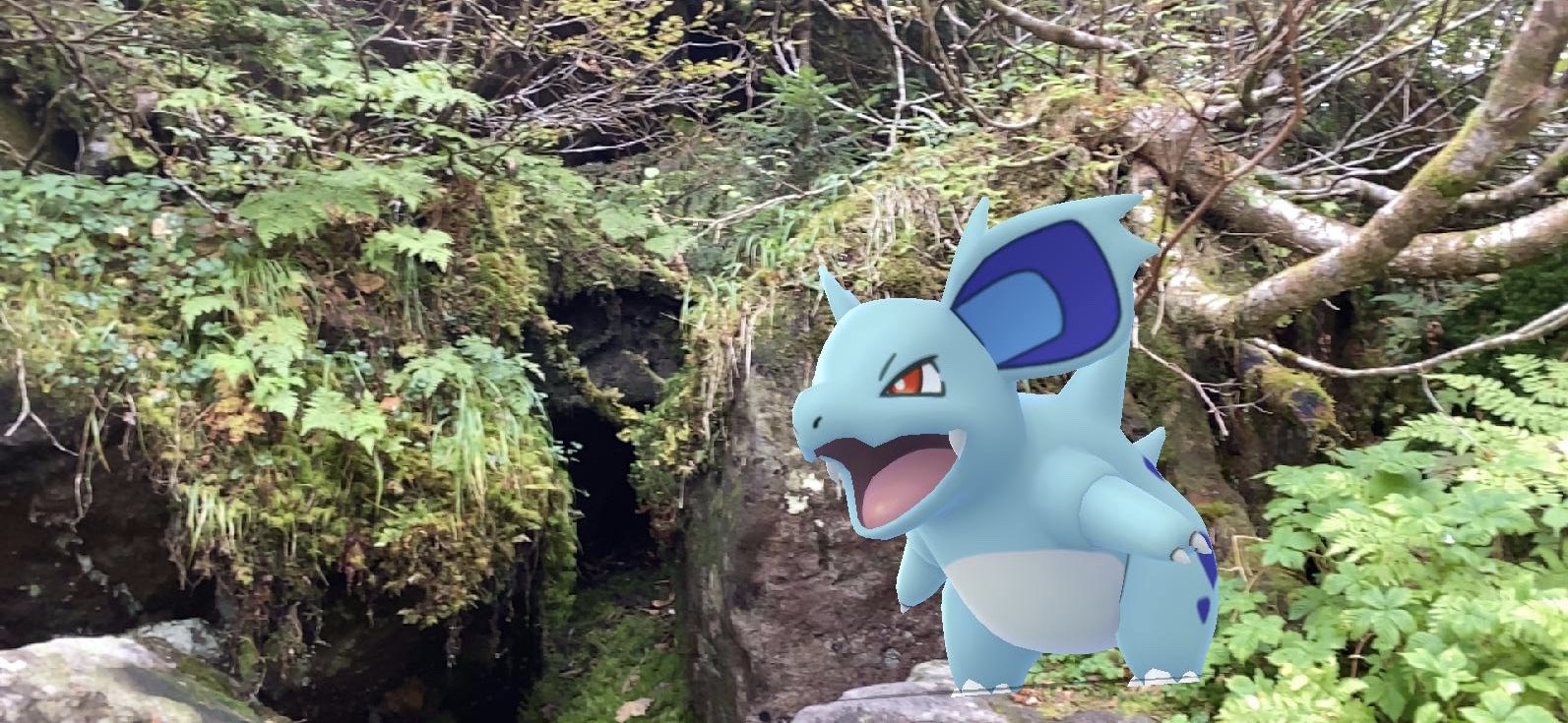 ぽかちん あ やせいのニドリーナがとびだしてきた こんなシンプルなやつもすごくすき Pokemongo ポケモンgo Goスナップショット Gosnapshot 好きなようにgoしよう 二ドリーナ T Co 36nadnaj22 Twitter