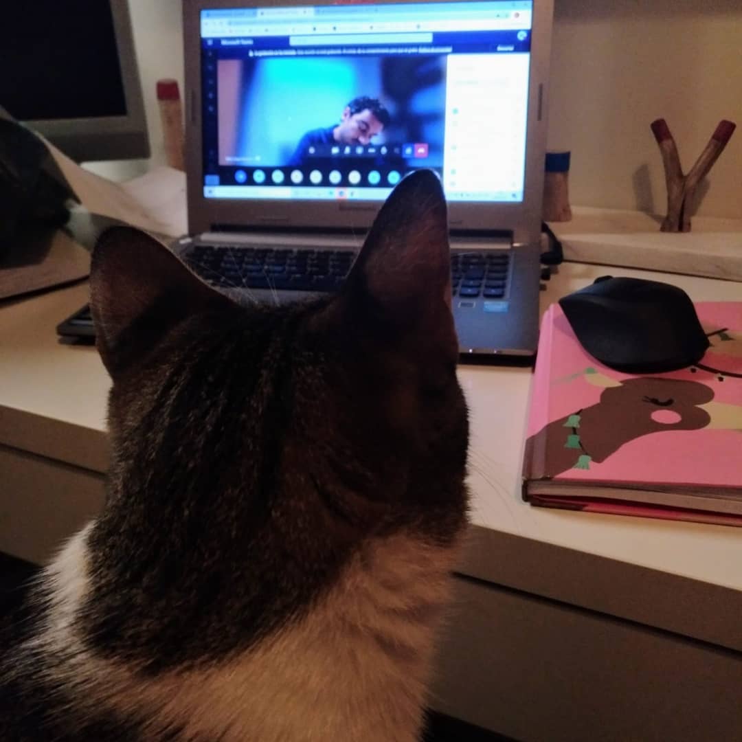 CrespoPeremarch's tweet photo. Defending 5 years of research in 50 minutes is not easy. Too many feelings in front of a screen, but the support of your people and maximum fulfillment are strongly felt! #PhD #cumlaude #Thesis https://t.co/ln68URhWIu
