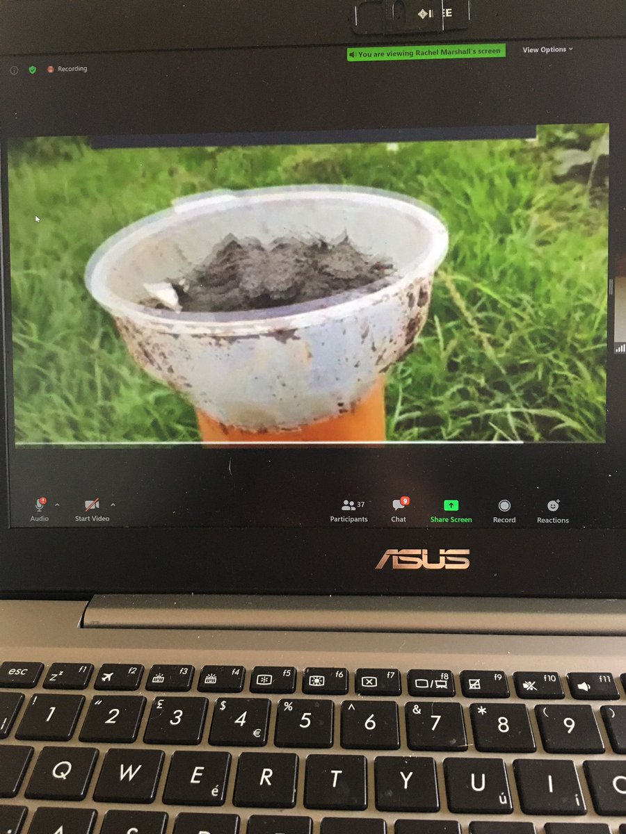 DUNG BEETLES! So important for helping manage livestock parasite load, reduce methane emissions, preventing pasture fouling etc. Thank you to @thatali_ecol @Soil_lives @Friesian_man and co for a great talk and wonderful accompanying videos #DungBeetles #agroentomology #NRFC2020