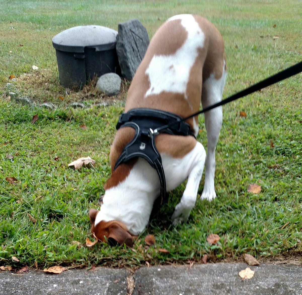 danh5235's tweet photo. @nerdist Dixon after last night's "debate"... https://t.co/OfrvXEh1AR