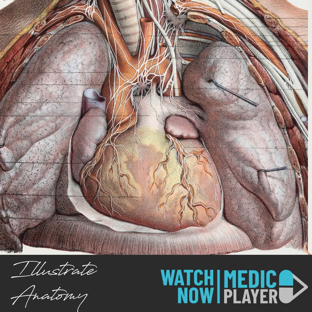 Historically, illustration has been absolutely fundamental to the study of anatomy.

Join our presenter Erin Barnes as she breaks complex anatomical diagrams down to basics, perfect for supplementing your revision notes.

WATCH NOW
operatingtheatrelive.co.uk/illustrateanat…