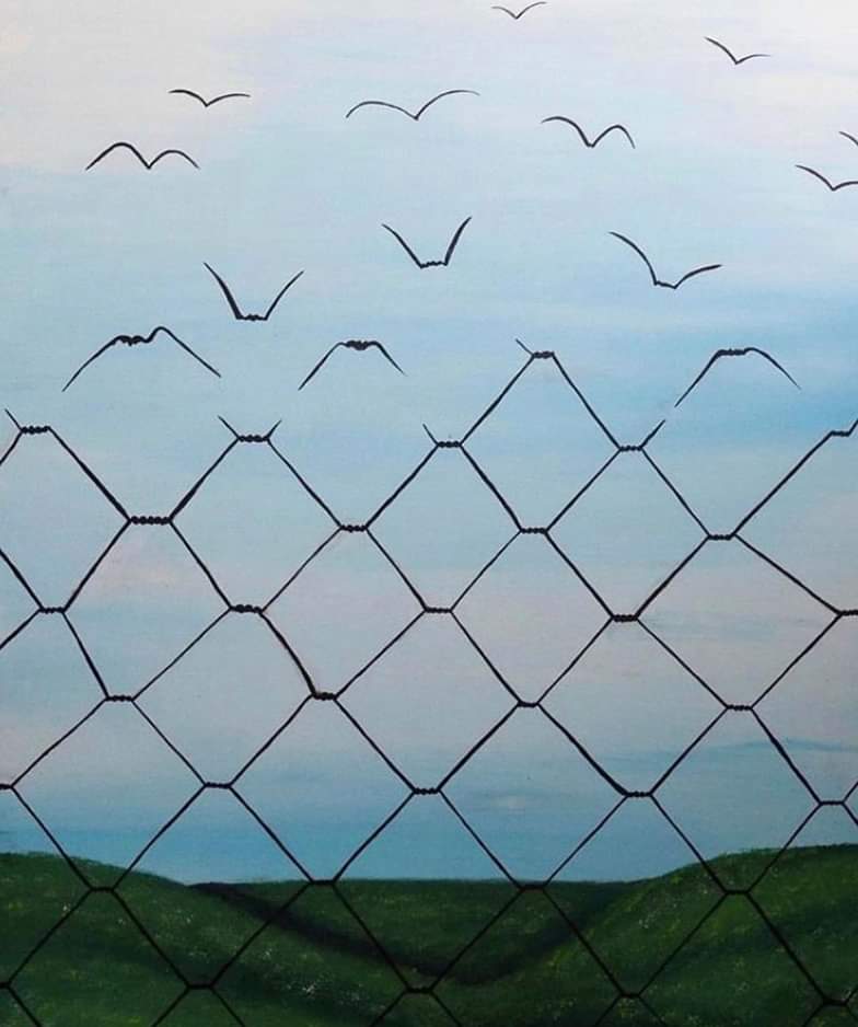 RaquelMJ83's tweet photo. #freedom #flyaway https://t.co/2L1jBHwnQY