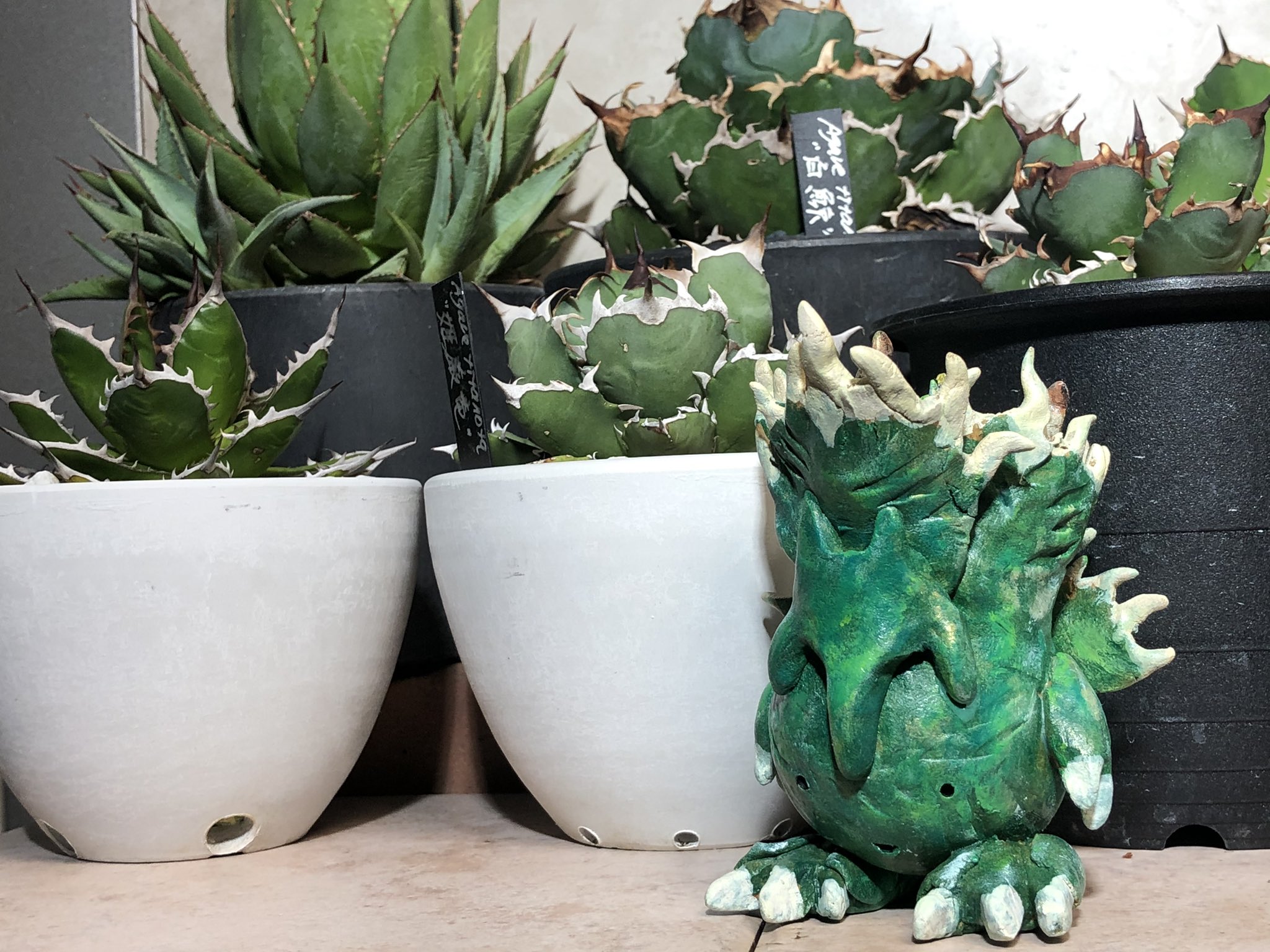 絵画 bizarre plants Bizarre Plants / YUTA OKAMURA | STRAIGHT