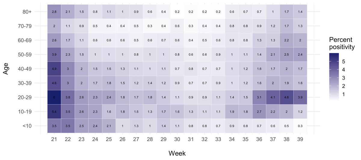 On a heat map, this becomes the typical “wedge” pattern that we have now seen over and over again, with percolation outward from the young adult group into older groups.