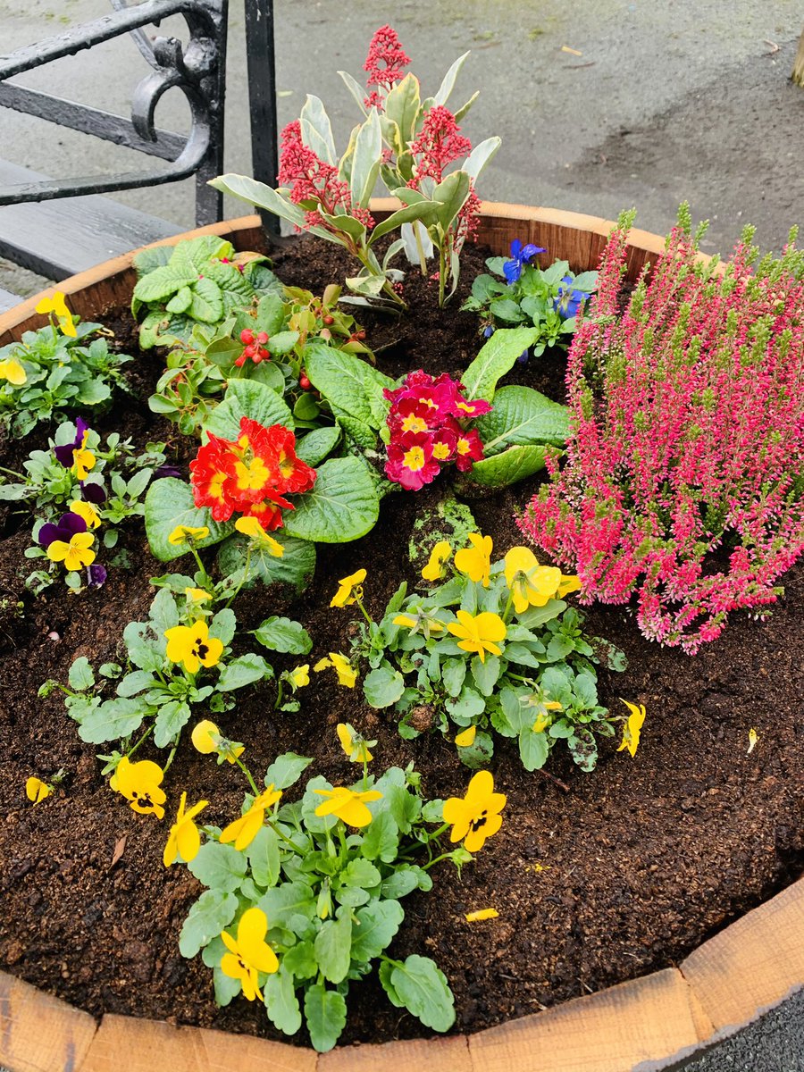 calverhall_in_bloom tweet media