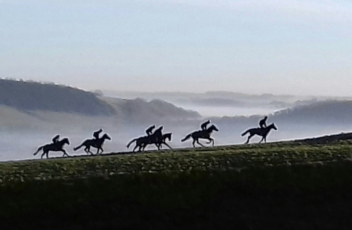 NanaDalton's tweet photo. Looking for 2 full time members of staff in expanding NH yard in stunning Dorset.  Superb facilities and great opportunities to gain/further experience within a small and successful team.  Accommodation available. 
Email CV to robertwalford1@gmail.com. or phone 07815 116209 https://t.co/HyIlLqnlIK