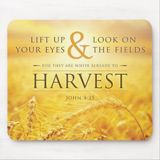 delphradio's tweet image. delphradio.net