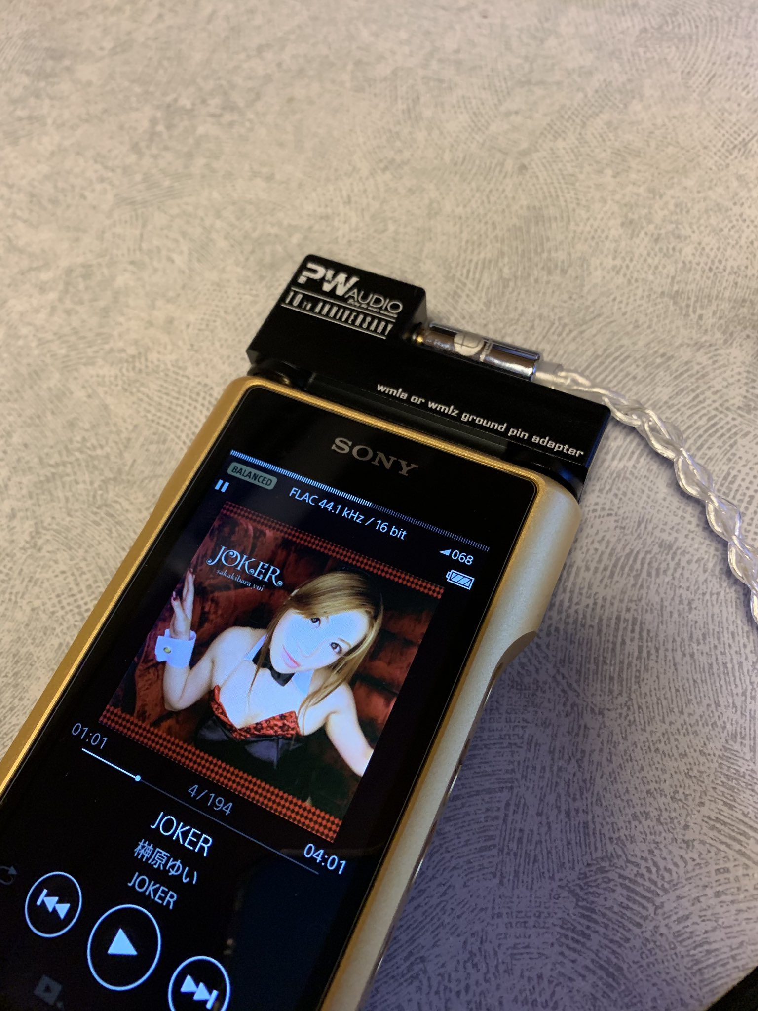 サービス PWAudio ground pin adapter Orpheus VER