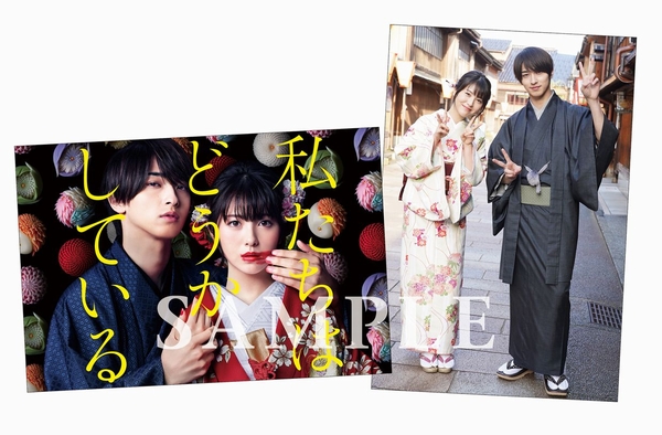 私たちはどうかしている DVD-BOX