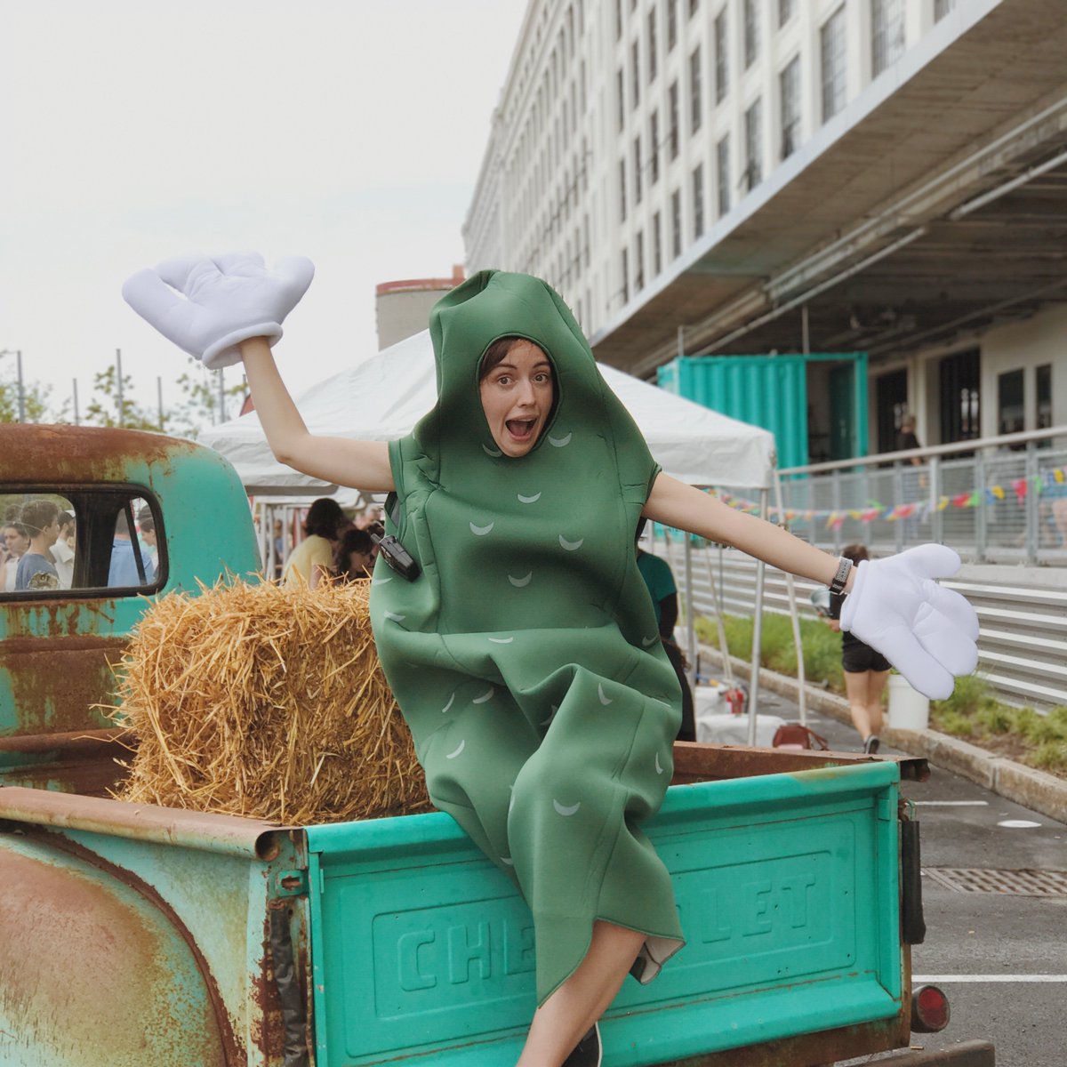 Pickle Boston tweet media