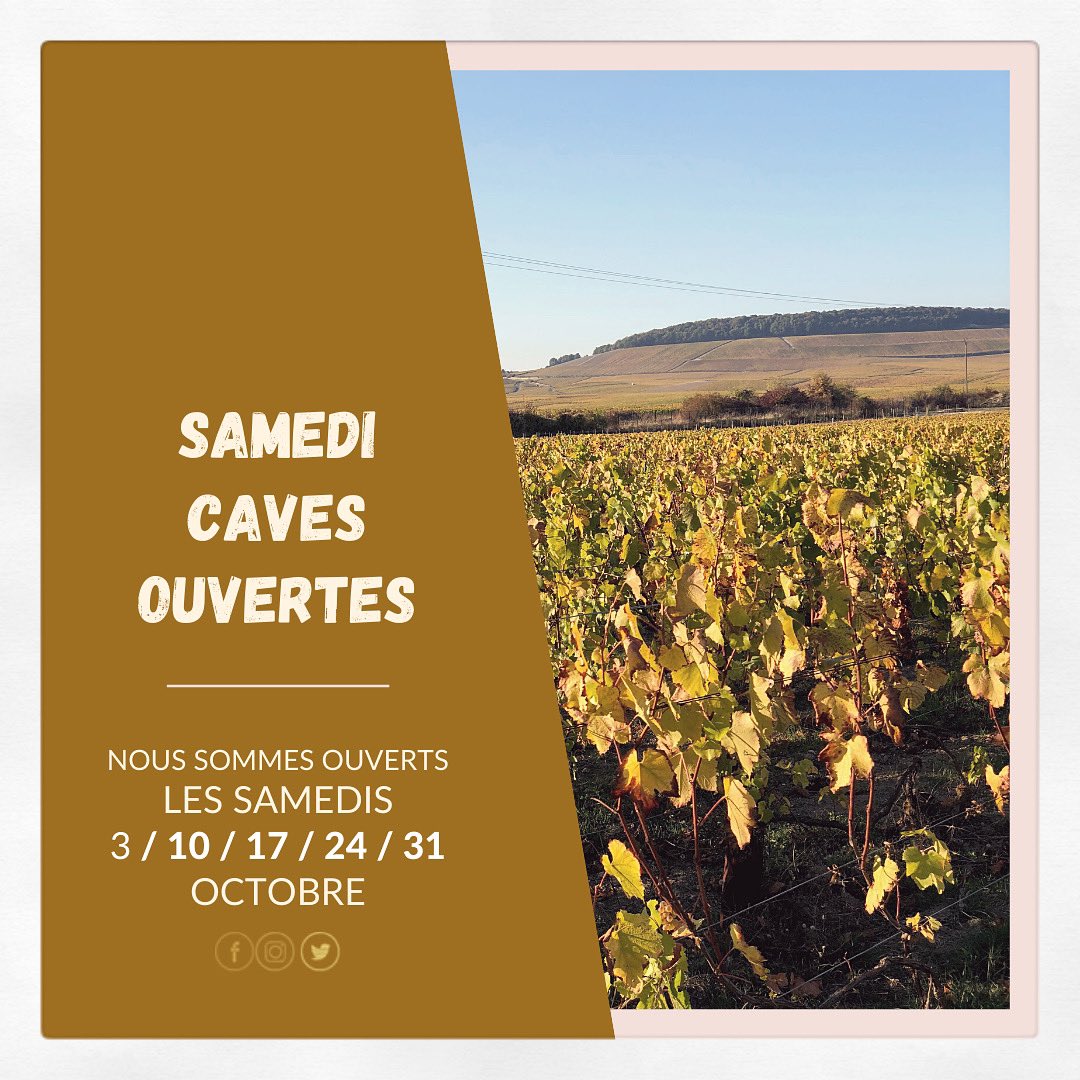 📢 𝗥𝗘𝗡𝗗𝗘𝗭-𝗡𝗢𝗨𝗦 𝗩𝗜𝗦𝗜𝗧𝗘 📢

Dear friends,
We are back to welcome you each Saturday of September from 10am to 5pm. Book your tour now !
See you soon ! ☞︎ 𝗰𝗼𝗻𝘁𝗮𝗰𝘁@𝗰𝗵𝗮𝗺𝗽𝗮𝗴𝗻𝗲-𝘀𝗮𝗻𝗴𝗲𝗿.𝗳𝗿