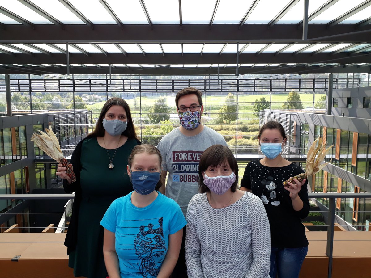 Bea_Weber_TE's tweet image. We are all excited for the #UppTransposon2020 meeting starting today - greetings from Dresden to all the TE friends