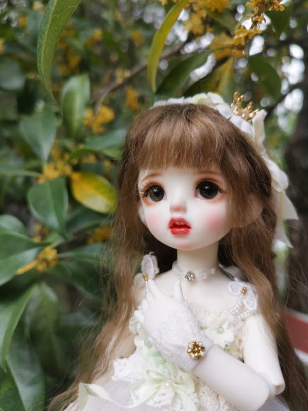 Chinabjd8's tweet photo. 庭にはモクセイの花がいっぱい植えられていて、宅配便を取りに行くのも花の香りのようで、気持ちがいいです．XQ

#BJD #BJD WIG #BJD SHOES #BJD DOLL #anya #celine #minifee #Satani #chloe #Christmas #lati #realpuki #tako #Berni #carol #球体関節人形 #うちの子可愛い

https://t.co/H1QYWezQlk https://t.co/KlnNblHVPD
