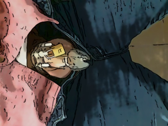 Una delle prime esperienze che ho vissuto   https://t.co/EZ7xQDejFZ https://t.co/OlLUkpX4jJ