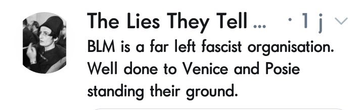 The obsession with 'BLM is a Marxist organisation that hates you' is just playbook far right fash chat but if you can drip feed it as "feminism".Note: if you don't support BLM then... fine? There are many things I do not support. How exactly is BLM a threat to your existence 