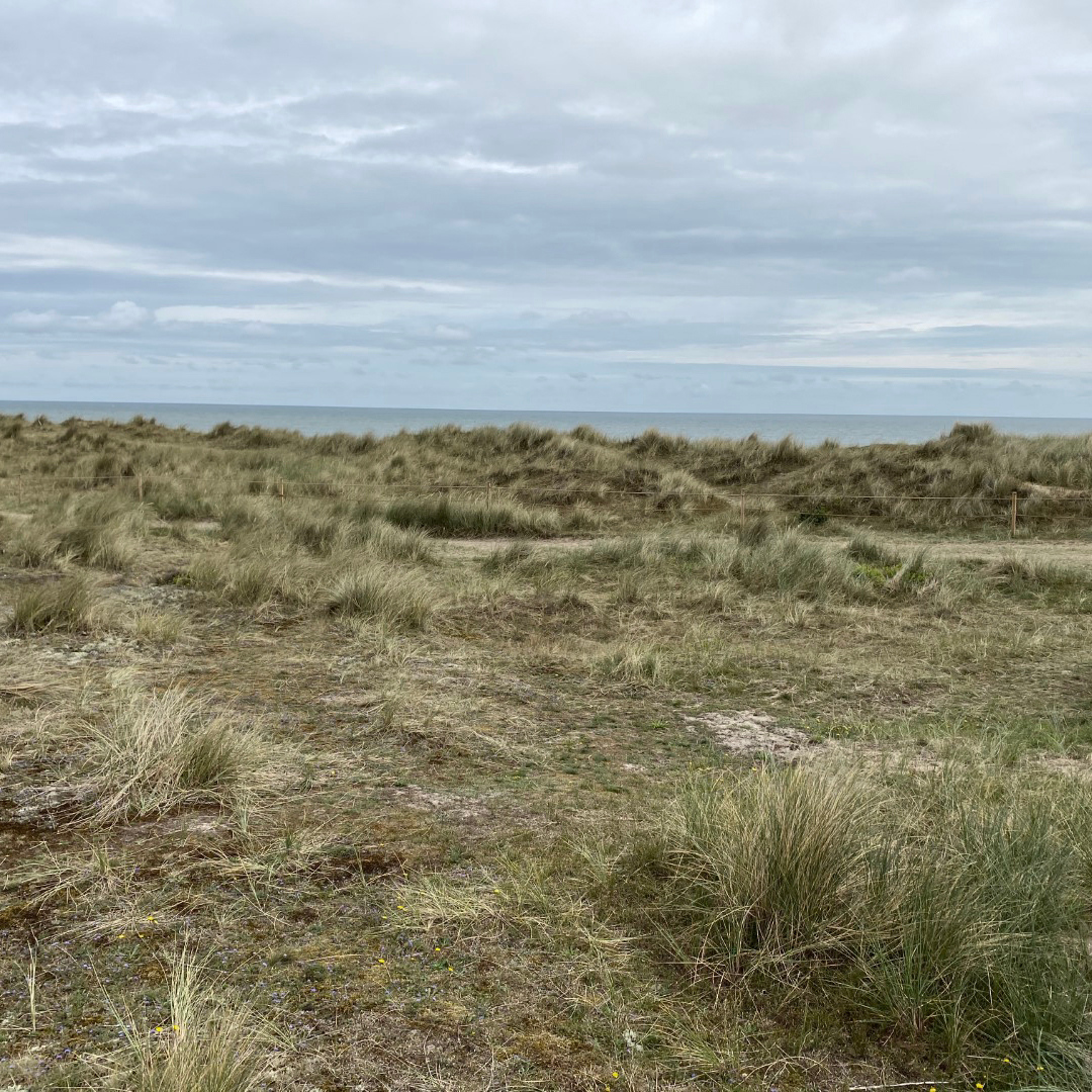 ECLocations's tweet image. Out of a recce of #NP202 this week, such a gorgeous coastal location even without the sunshine!

View the full location here -www.eastcoastproduction.co.uk/locations/beaches-marshes--cliffs/np202