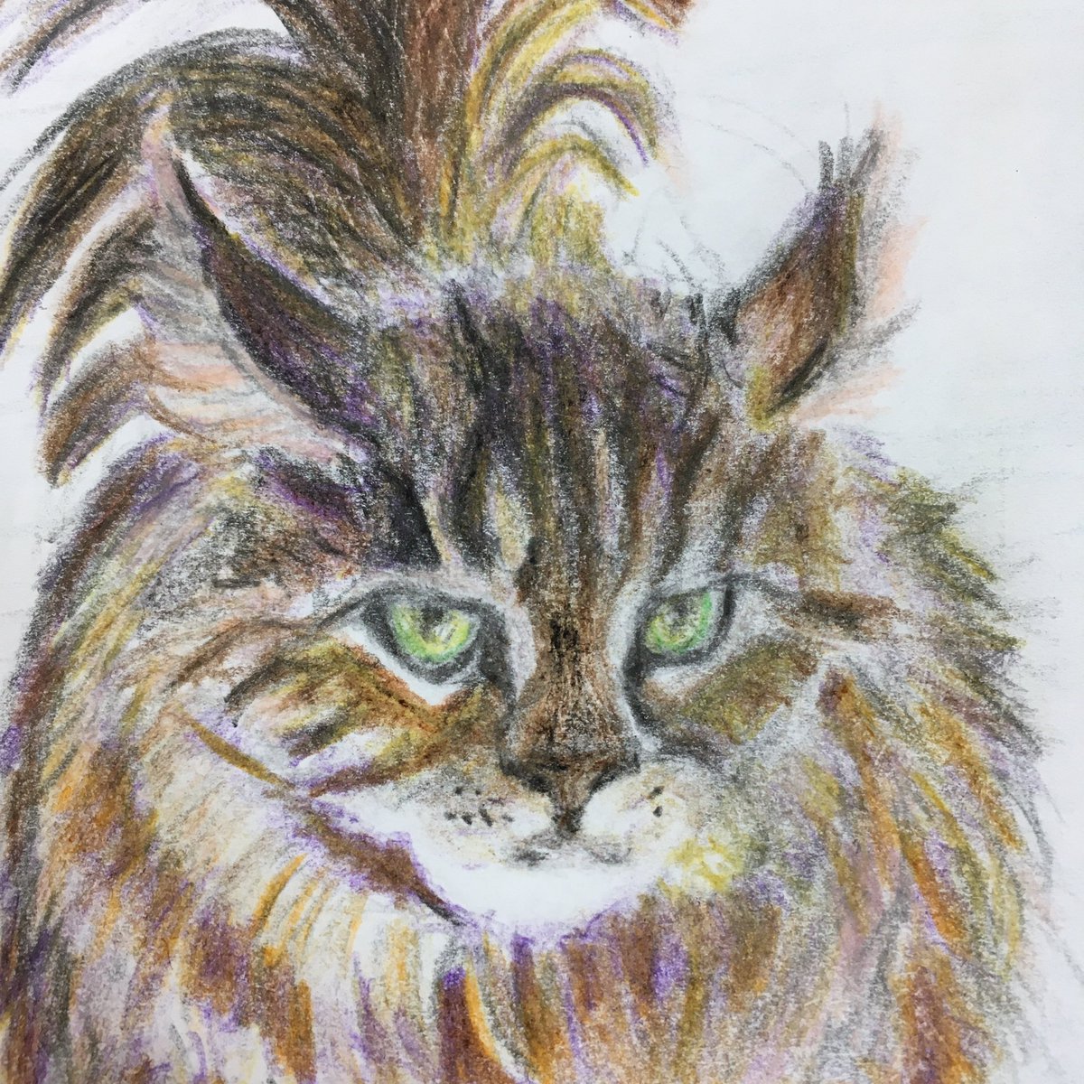 Twoucan 歩く猫 の注目ツイート イラスト マンガ Twoucan 歩く猫 の注目ツイート イラスト マンガ