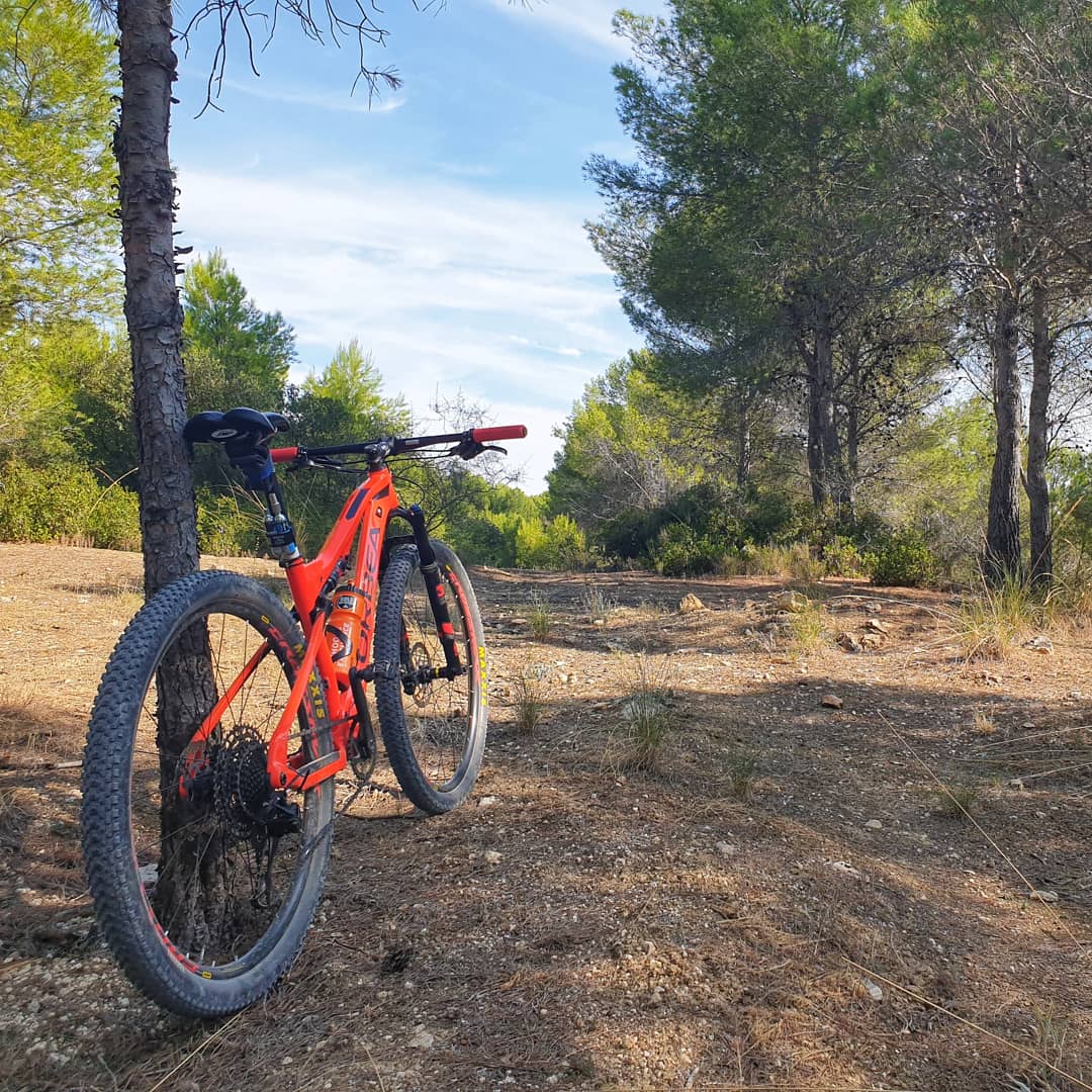 GF_series's tweet image. 👉Nuevo día de intenso trabajo en la oficina.

👉No pararemos hasta que todo ello se materialice en un "pepino" de maratón MTB

✅granfondo8000.com 

#UnaPruebaQueilusiona  #EventosConBuenAmbiente #GF8000 #marchasmtb