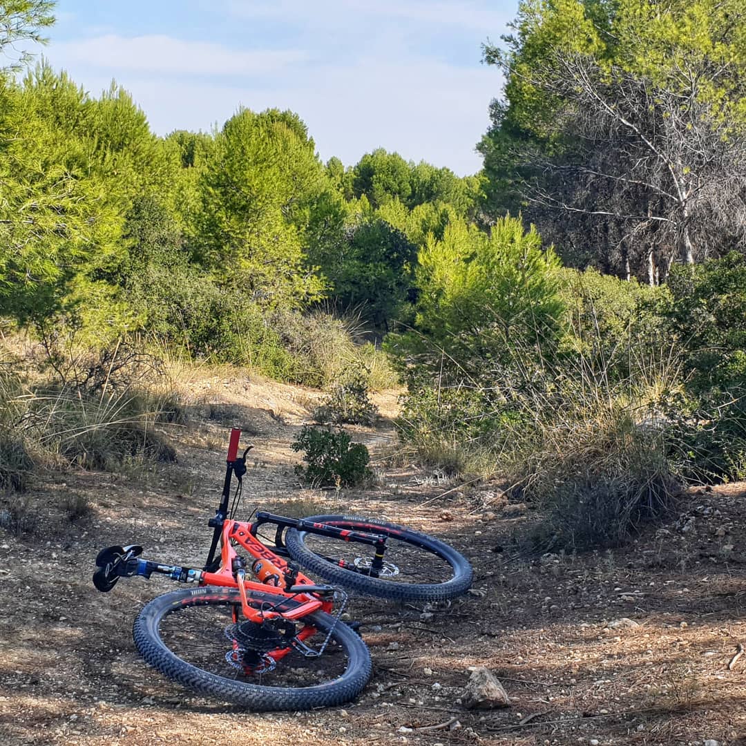 GF_series's tweet image. 👉Nuevo día de intenso trabajo en la oficina.

👉No pararemos hasta que todo ello se materialice en un "pepino" de maratón MTB

✅granfondo8000.com 

#UnaPruebaQueilusiona  #EventosConBuenAmbiente #GF8000 #marchasmtb