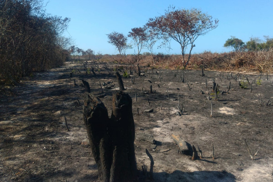 NordesteEco's tweet photo. Operação Mata Atlântica em Pé encerra com três milhões em multas no Ceará
Leia mais: https://t.co/R7CnLr6fPx
#BPMA #Caomace #FundaçãoSOSMataAtlântica #IBGE #Ibama #LeidaMataAtlântica #MPCE #MPPR #OperaçãoMataAtlânticaemPé #PolíciaMilitar #Semace https://t.co/JbBD0Hsvsr