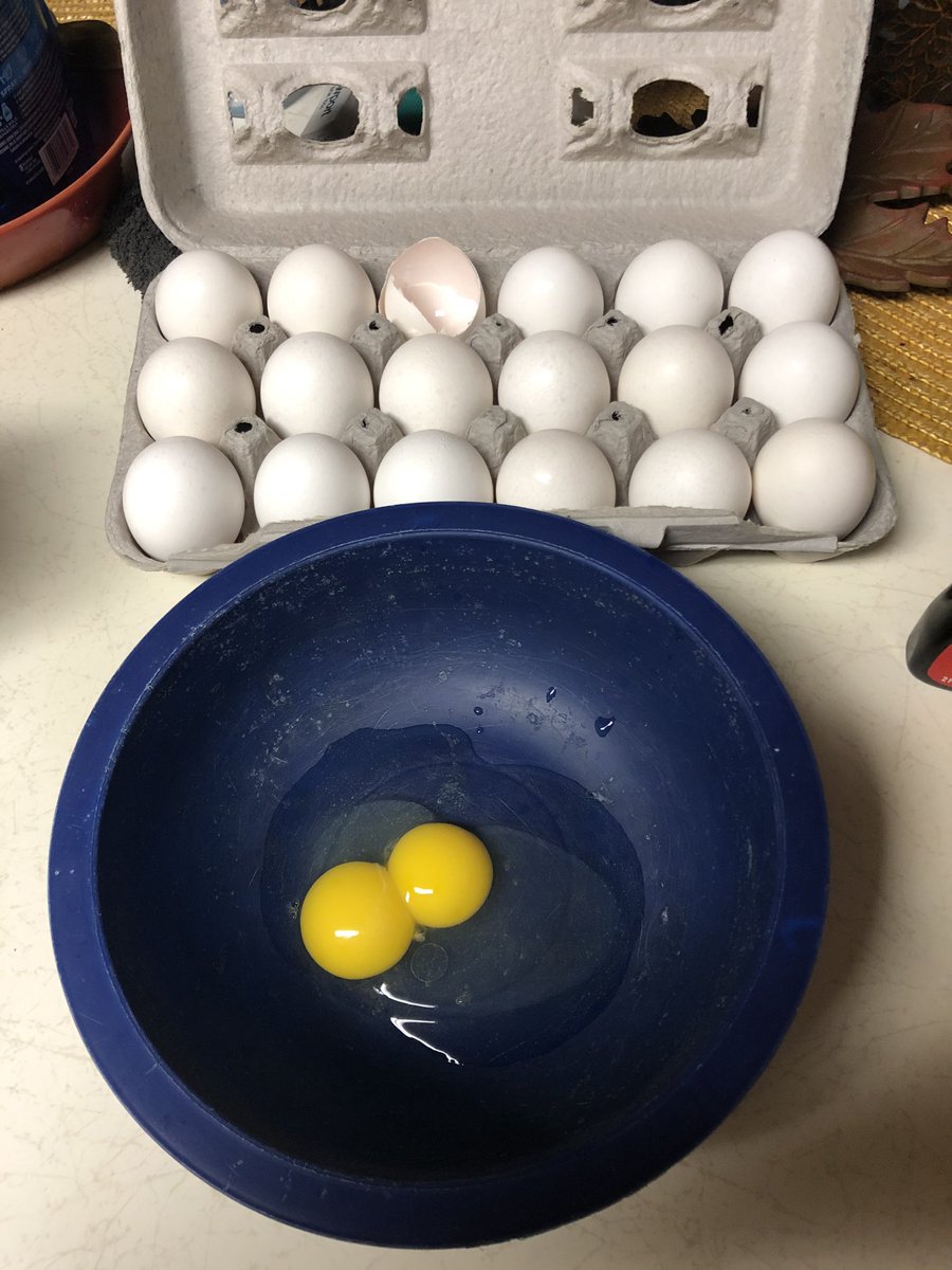 Gotta double egg this morning as I was preparing French Toast