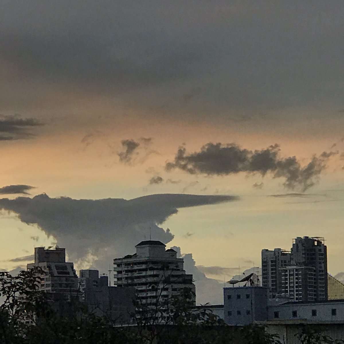 blue—summer tweet media