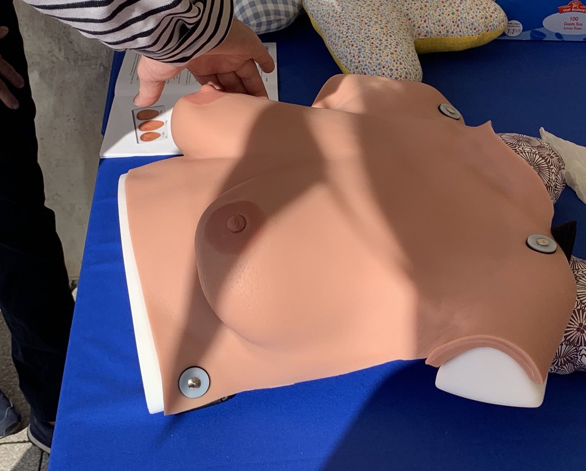 Marine_Couve's tweet photo. Demain débute #OctobreRose, mois de lutte contre le cancer du sein🎗

@liguecancer organise à Angers un «Voyage au cœur du sein», avec la collaborat° de @Pharma_ACEPA.

Des gestes de prévention simples existent : autopalpation, suivi gynéco régulier. 
Parlons-en autour de nous 👩🏻 https://t.co/wYzR3r6SiB