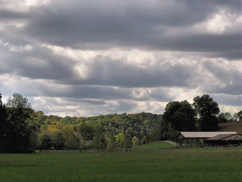 AndiFerguson1's tweet photo. #PhotoOfTheDay. Cruising through my photo archives I discovered that this date was apparently my day to get good photos of the #farm in the valley below us. #fog #deer #clouds #memorytrip
Taken #OnThisDay September 30, 2013, 2011, 2018 https://t.co/1Isb7Oc9id
