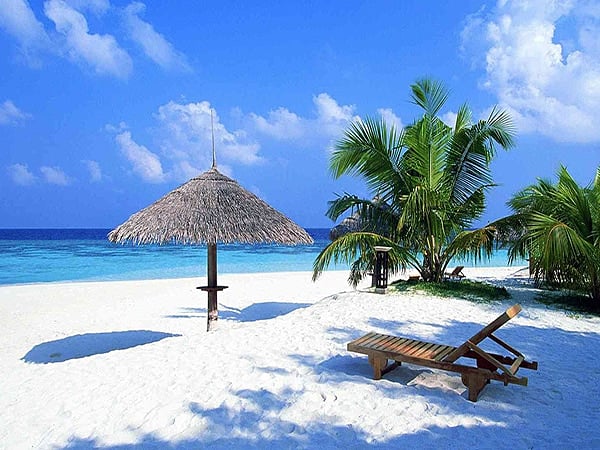 Neshaneha (@neshaneha1) on Twitter photo 
