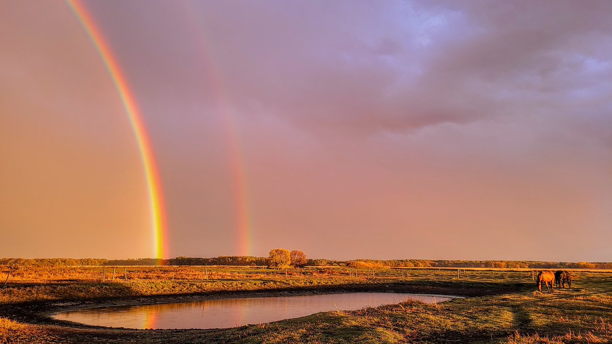 JBMEquiFarms's tweet photo. September 29
Manitoba
Rain Storm
Beauty of a sunset cont 🤣😂
#mbstorm #mbwx #clouds #horses #yogi #mommaboo #grace #farm #beauty #mybackyard https://t.co/51nZLorap3