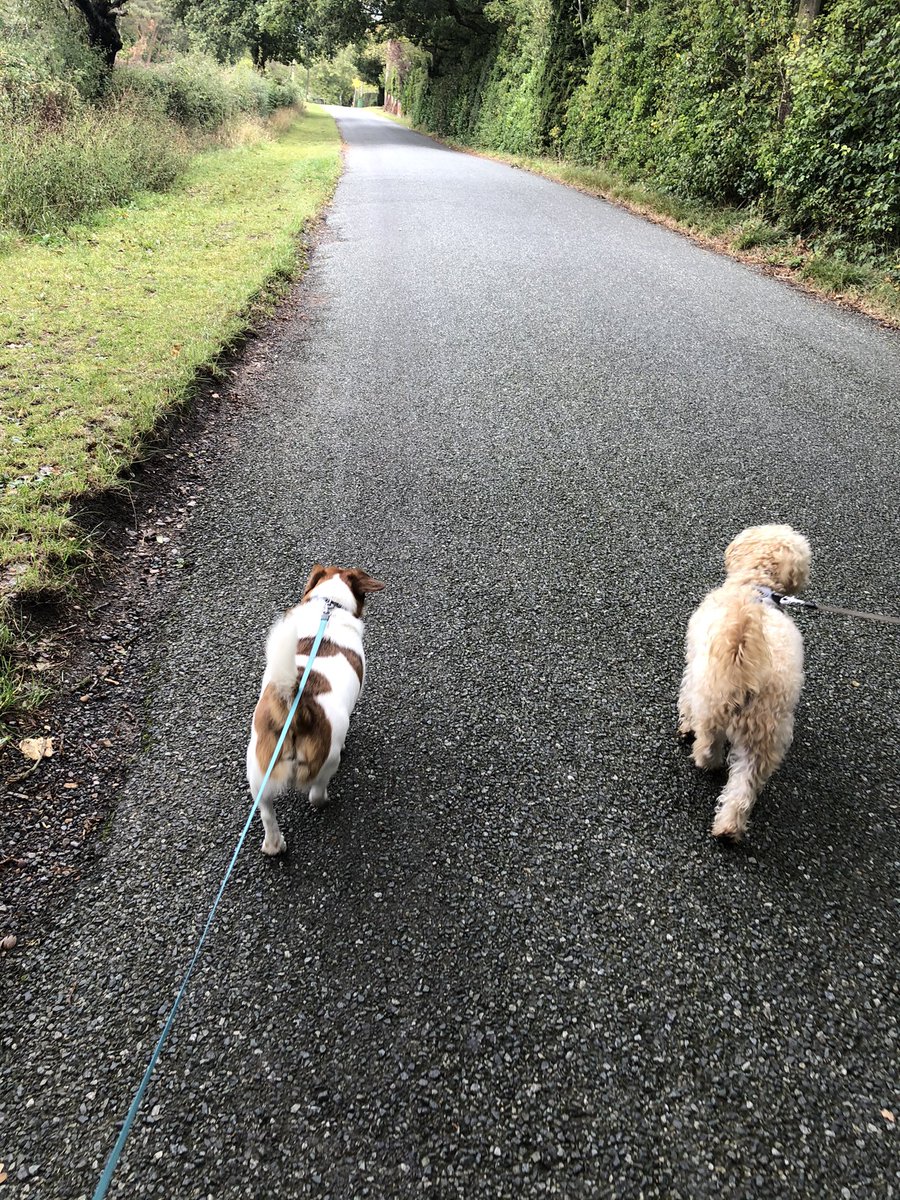 The boys are in the village 😁 #littlelegs and #CurlyMoe had a lovely morning