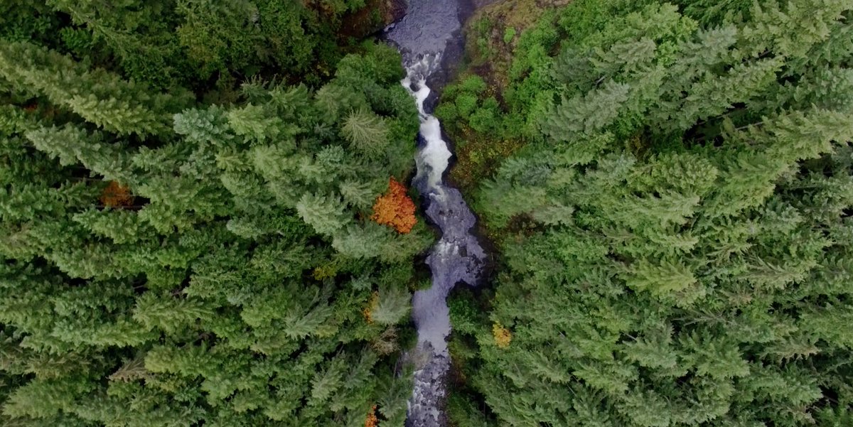 unepwcmc's tweet photo. 🇺🇳 Today, the #UNGA #BiodiversitySummit is discussing urgent action on biodiversity for sustainable development.

It’s time to turn ambition and commitments into action to halt and reverse biodiversity loss.

✍️ More from UNEP-WCMC Director @nevilleash: 

https://t.co/mn7SSInExK https://t.co/EWbcC7BH0L