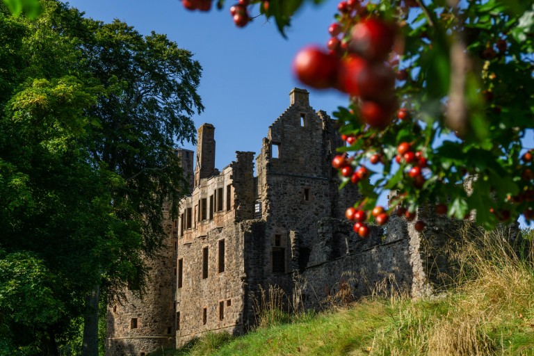 welovehistory's tweet photo. These radiant rosehips at Huntly Castle are making us feel all #autumnal! 🍂
If you'd like to visit this October, it's open Saturday ➡ Wednesday each week.
Book your tickets in advance here https://t.co/YhqBzRUwmO
#VisitABN https://t.co/6jFfCjvFVC