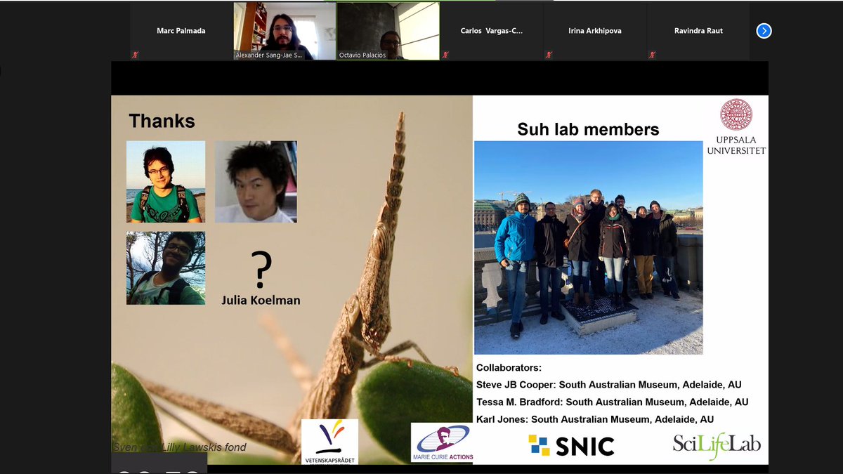 PalmadaMarc's tweet image. Cool symposium so far @alexander_suh! Lots of interesting topics about transposable elements, in a format that allows  to be focused during all the different talks! Nice presentation @OMPalacios7! Here a screenshot!  #UppTransposon2020