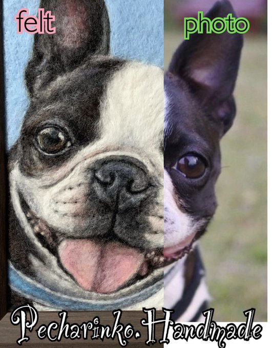 ボストンテリアのtwitterイラスト検索結果