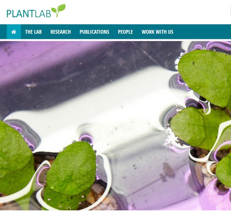 🌱Pierdomenico Perata tweet media