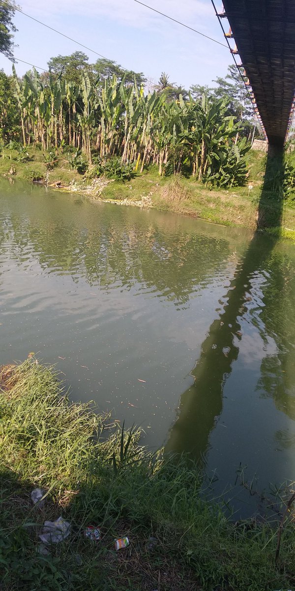 ZUL1914's tweet photo. Dimana tempat paling enak, nyaman dan penuh damai...???
Disini
Disini
Disini
Kenapa disini, karena yang disana sudah ama yang lain🤤 https://t.co/NPx5wDPynP