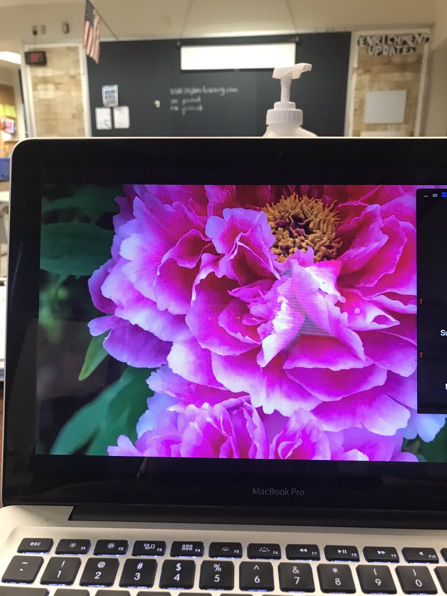 Pam Moniodes tweet media