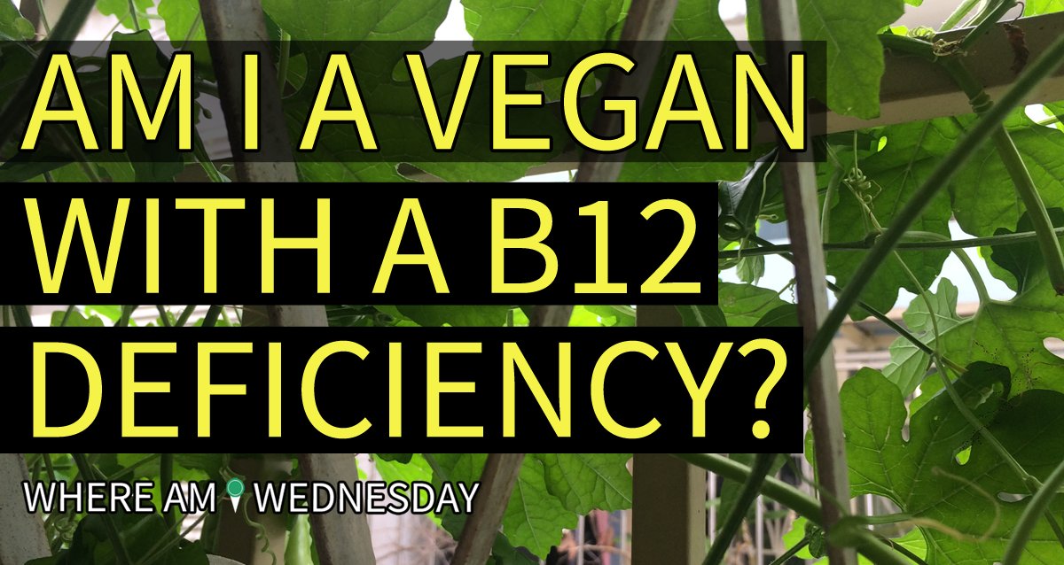 As a vegan (or vegetarian), do you take a vitamin B12 supplement? If so, what do you use? bit.ly/30kW5UF #vegan #veganism #veganhealth #health #vitaminb12 #waiw