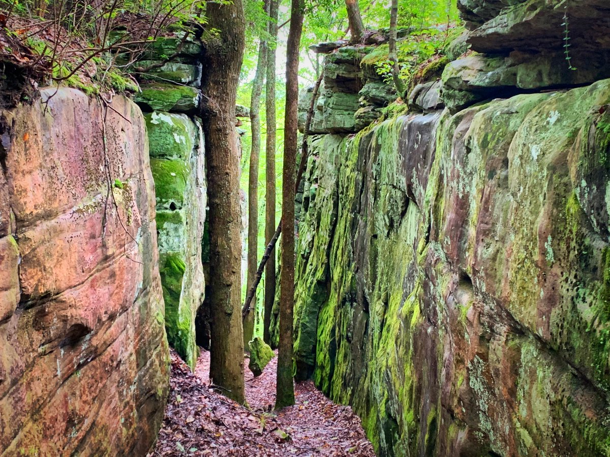 TLCOutside's tweet image. Did you watch the debate? Sorry! Need a break? Plan a day outside, give nature a voice.  My office this week. @nature_TN